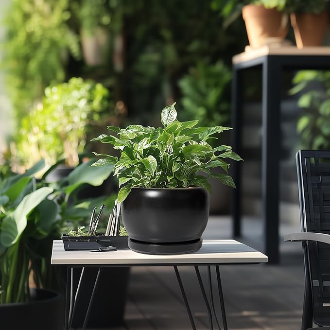 SQOWL Ceramic Plant Pots - 8 Inch Planter Indoor, Round Flower Pot with Drainage Hole and Saucer, Modern Outdoor Planter, Apartment Decor, Gifts for Plant Lovers, Black