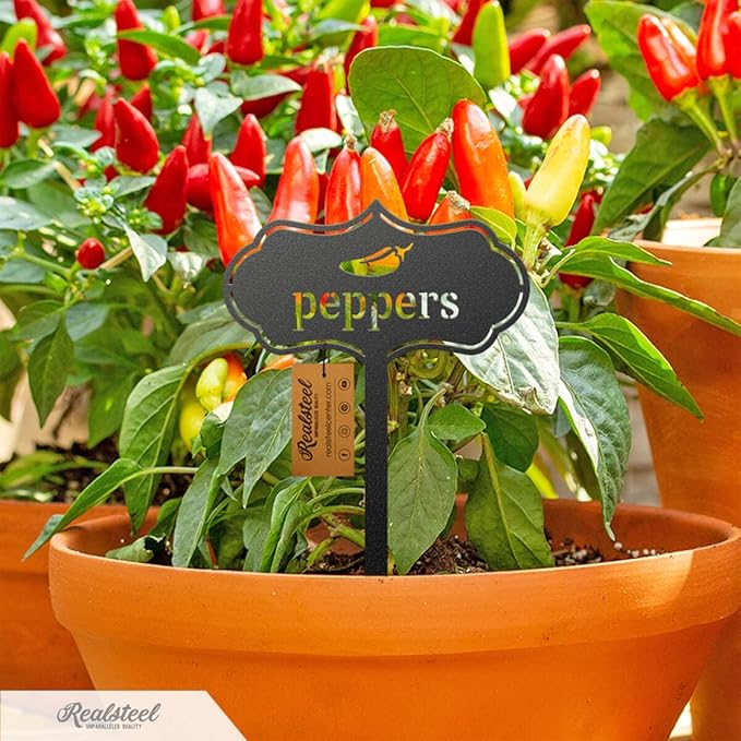 RealSteel - Seed & Plant Markers - Indoor/Outdoor Herb Garden Stakes - Elegant Fruit/Vegetable Seed Labels - Durable Plant Tags for Pots - Classy Design for Farmhouse/Greenhouse (Corn)