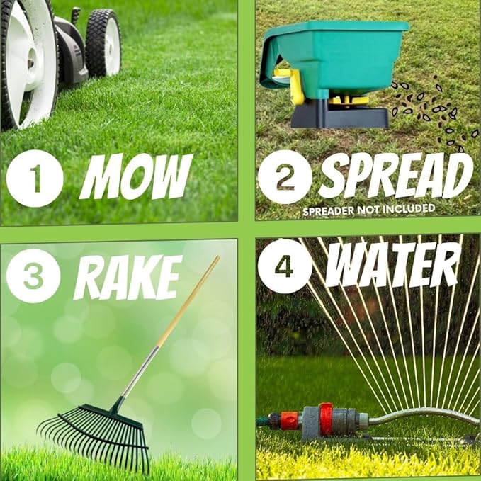 Flawn Seed Kits Mow Less Fine Fescue Eco-Grass Seed, 4 Lbs, Low Maintenance Lawn, Resealable Pail with Handle, Covers up to 2000 Sqft