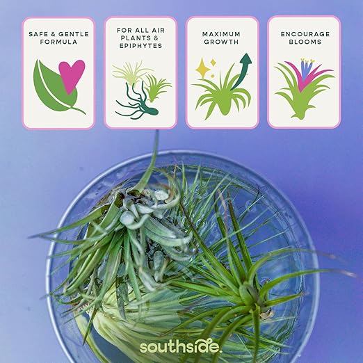 Air Plant Fertilizing Concentrated Soak by Southside Plants - Fertilizer Mist for Houseplants, Weekly Plant Food - Gentle Mist Formula for Miracle Feed & Grow - 1 oz