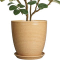 Ceramic Pot for Plants - 10 Inch Plant Pot with Drainage Hole and Saucer Outdoor Planter for Indoor Plants Round Flower Pot for Home Patio Garden Office Yellow