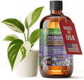 GARDENERA Premium Organic Seaweed & Kelp Superfood for ALBO VARIEGATA Plants - 8 oz - Liquid Kelp Fertilizer Concentrate (Makes 45 Gallons)