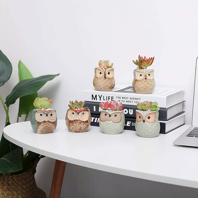 T4U 2.5 Inch Owl Ceramic Succulent Planter Pots with Drainage Hole Set of 6, Mini Cute Flower Pots Tiny Plant Holder Container Best for Home Office Garden Decoration Owl Gift Ideas
