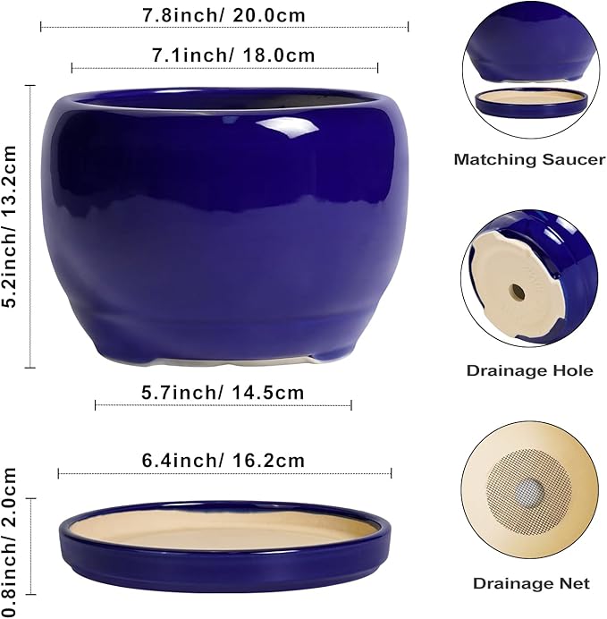 SQOWL 8 Inch Plant Pot - Ceramic Planter for Indoor Plants Outdoor, Ceramic Flower Pot with Drainage Hole and Saucer, Modern Round Planter, Bathroom Decor, Gifts for Plant Lovers, Blue