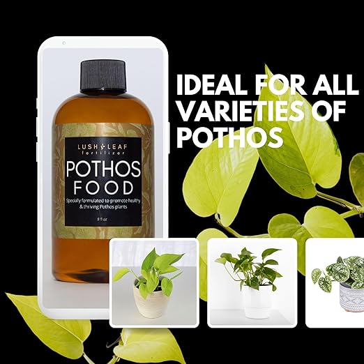 Lush Leaf | Plant Food (Pothos)