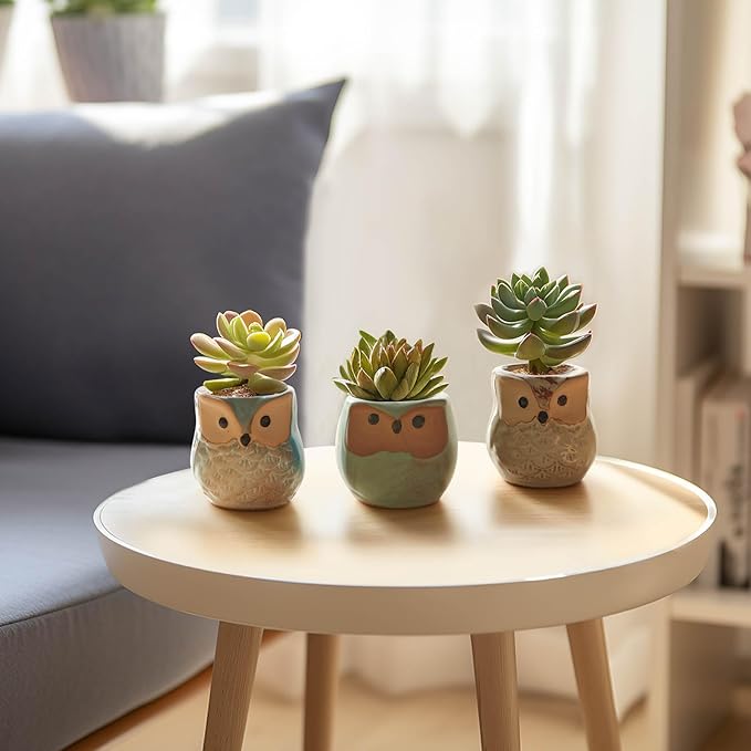 T4U 2.5 Inch Owl Ceramic Succulent Planter Pots with Drainage Hole Set of 12, Mini Cactus Pots Tiny Cute Plant Holder Container Best for Home Office Decor Gardening Gift