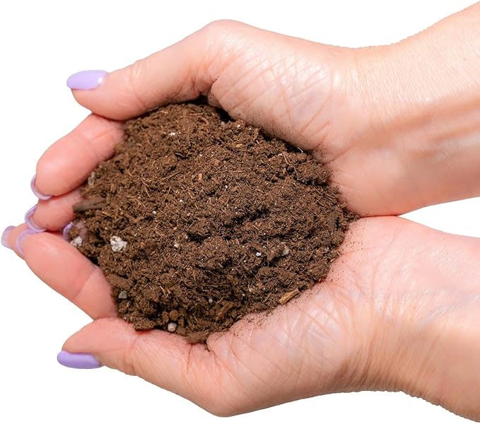 GARDENERA Organic Potting Mix for All Plant Types for Indoor and Outdoor Use, Great for Veggies, Spices, and Holistic Herbs - (5 Quart Bag)