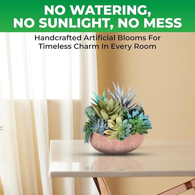 Premium Assorted Artificial Succulent Collection - Large Real Touch Artificial Cactus, Aloe Vera & Succulent Plants Artificial with Pots for Home Office Indoor (Artificial Coconut Shell - Pot)
