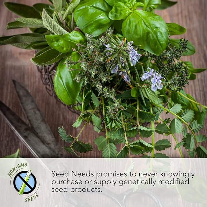 Seed Needs, Italian Herb Seed Packet Collection (5 Individual Seed Varieties for Planting) Non-GMO & Untreated - Oregano, Basil, Rosemary, Sage and Parsley