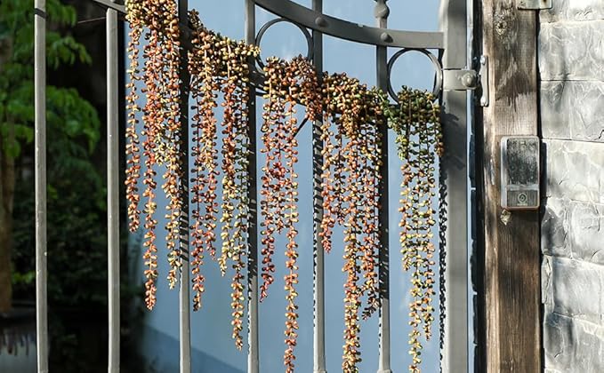 9PCS Orange Artificial Succulents Hanging Plants,27.5 Inch Fake String of Pearls Greenery Plants 5 Branches for Autumn Home Garden Office Party Balcony Wall Indoor Outdoor Fall Dec, Orange