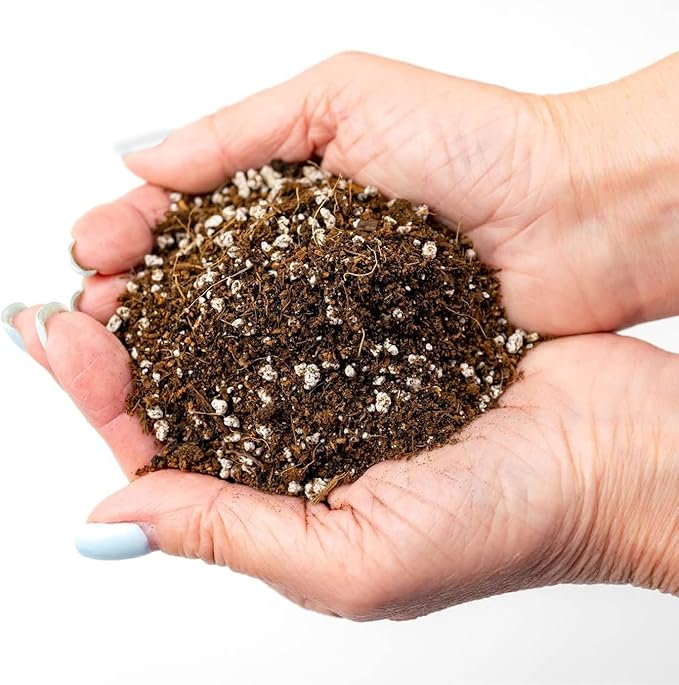 GARDENERA Premium Organic Potting Soil for Pumpkin - (3 Quart Bag)