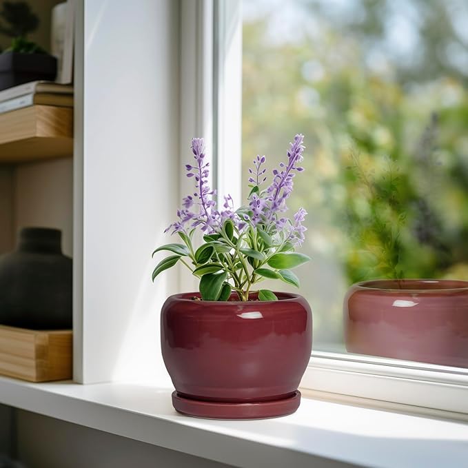 SQOWL 6 Inch Plant Pot - Ceramic Planter for Indoor Plants Outdoor, Round Planter with Drainage Hole and Saucer, Decorative Modern Small Flower Pots, Room Decor, Gifts for Plant Lovers, Red