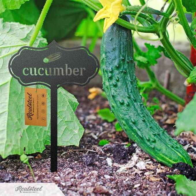 RealSteel - Seed & Plant Markers - Indoor/Outdoor Herb Garden Stakes - Elegant Fruit/Vegetable Seed Labels - Durable Plant Tags for Pots - Classy Design for Farmhouse/Greenhouse (Cilantro)