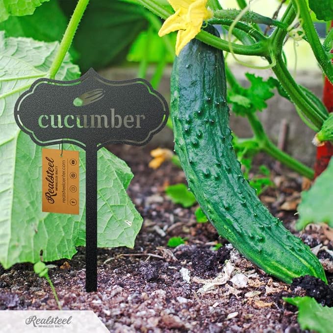 RealSteel - Seed & Plant Markers - Indoor/Outdoor Herb Garden Stakes - Elegant Fruit/Vegetable Seed Labels - Durable Plant Tags for Pots - Classy Design for Farmhouse/Greenhouse (Chives)