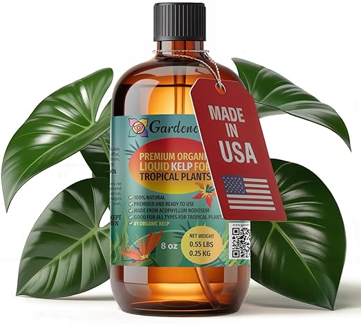 GARDENERA Premium Organic Seaweed & Kelp Superfood for Tropical Trees Plants - 8 oz - Liquid Kelp Fertilizer Concentrate (Makes 45 Gallons)