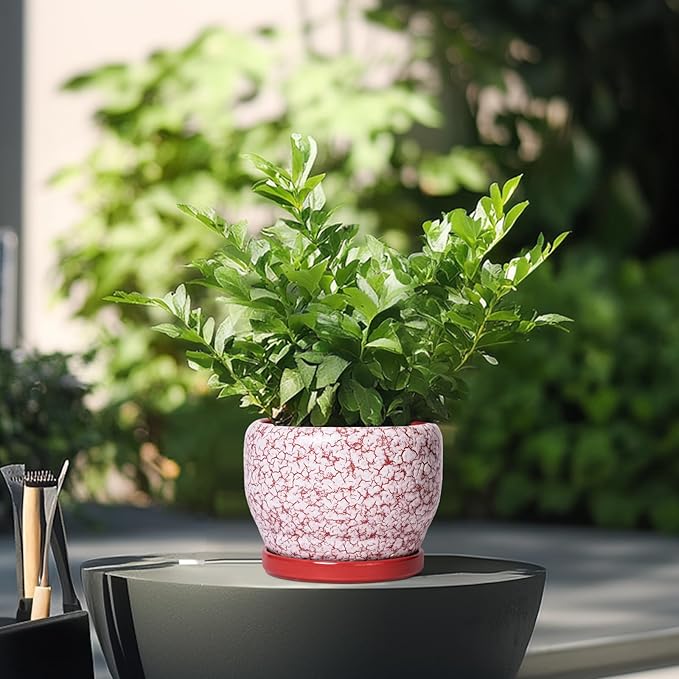 SQOWL 6 Inch Plant Pot - Ceramic Planter for Indoor Outdoor, Round Decorative Plant Pot with Drainage Hole and Saucer, Small Flower Planter, Home Balcony Decor, Gifts for Women Men, Red and White