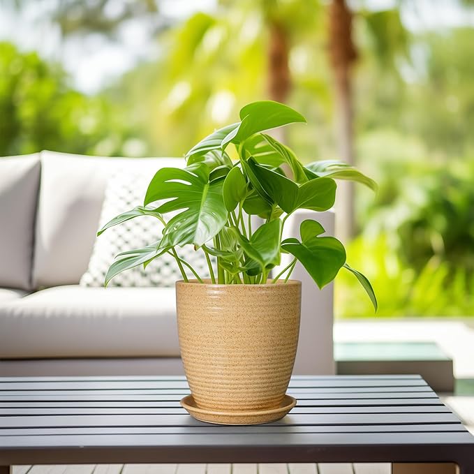 Pot for Plants 8 Inch - Ceramic Planter Indoor Plant Pot with Drainage Hole and Saucer Planter for Outdoor Plants Round Flower Pot for Home Patio Garden Office Decor Yellow