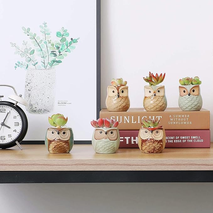 T4U 2.5 Inch Owl Ceramic Succulent Planter Pots with Drainage Hole Set of 12, Mini Cactus Pots Tiny Cute Plant Holder Container Best for Home Office Decor Gardening Gift