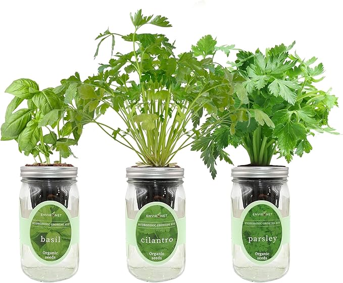 Hydroponic Herb Growing Kit Set, Self-Watering Mason Jar Herb Garden Starter Kit Indoor, Windowsill Herbs Garden, Grow Your Own Herbs from Organic Seeds (Basil, Cilantro and Parsley)