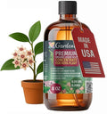 GARDENERA Premium Organic Seaweed & Kelp Superfood for Hoya Plants - 8 oz - Liquid Kelp Fertilizer Concentrate (Makes 45 Gallons)