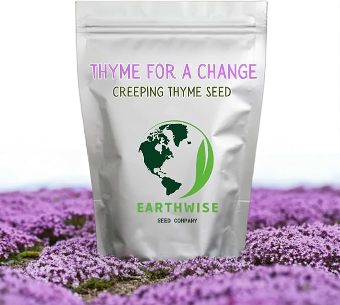 Thyme for a Change – Red Creeping Thyme Seed – 1/2 oz Covers 250 sq ft (~8,000 Seeds)