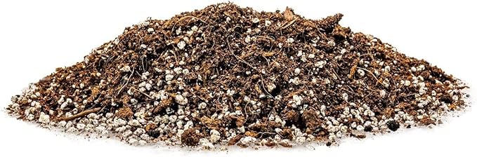 Gardenera Premium Raspberry Potting Soil Mix - Optimal Blend for Thriving and Juicy Berries - 1 Quart