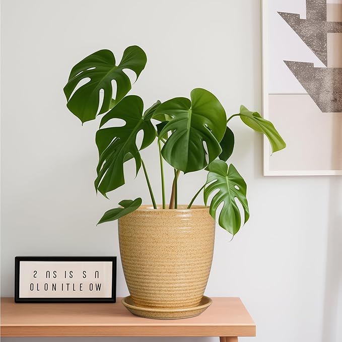 Pot for Plants 8 Inch - Ceramic Planter Indoor Plant Pot with Drainage Hole and Saucer Planter for Outdoor Plants Round Flower Pot for Home Patio Garden Office Decor Yellow