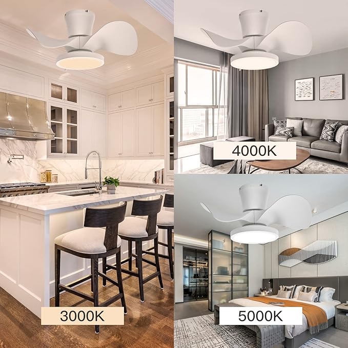 ocioc Quiet Ceiling Fan with LED Light 22 inch Large Air Volume Remote Control for Kitchen Bedroom Dining Room Patio