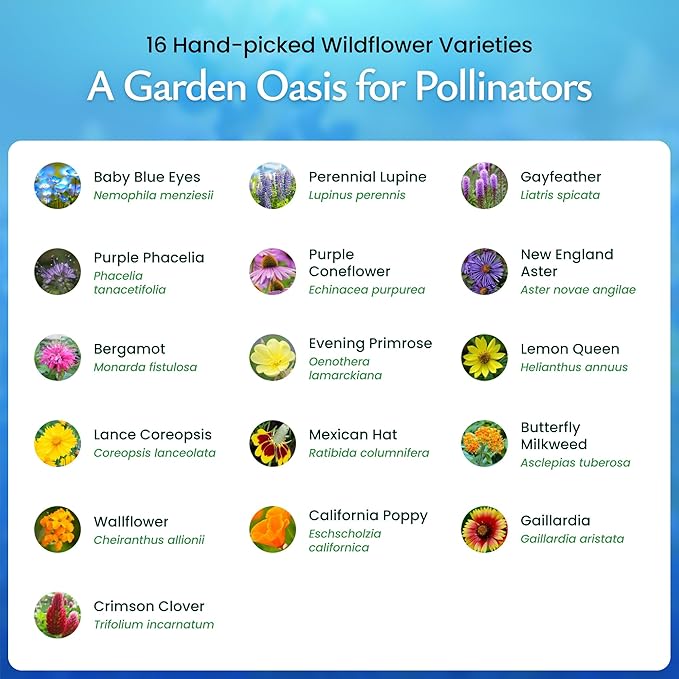 Created By Nature Bee & Butterfly Wildflower Seed Mix, 16 Varieties, 30,000 Seeds
