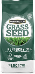 Pennington Kentucky 31 Tall Fescue Penkoted Grass Seed 7 lb