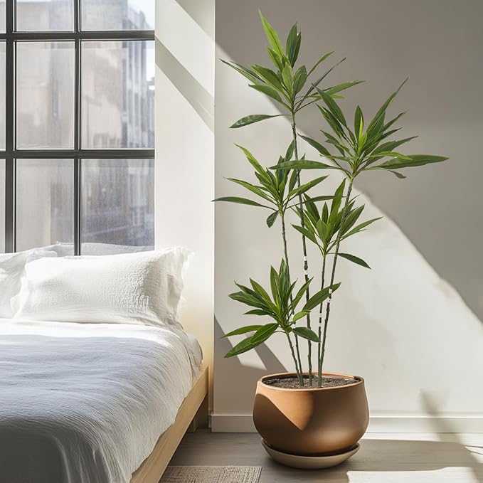 Artificial Cordyline Plant, 6 Ft Tall Green Leaves, 5 Stems with Pot, Indoor Decorative Tree(Green)
