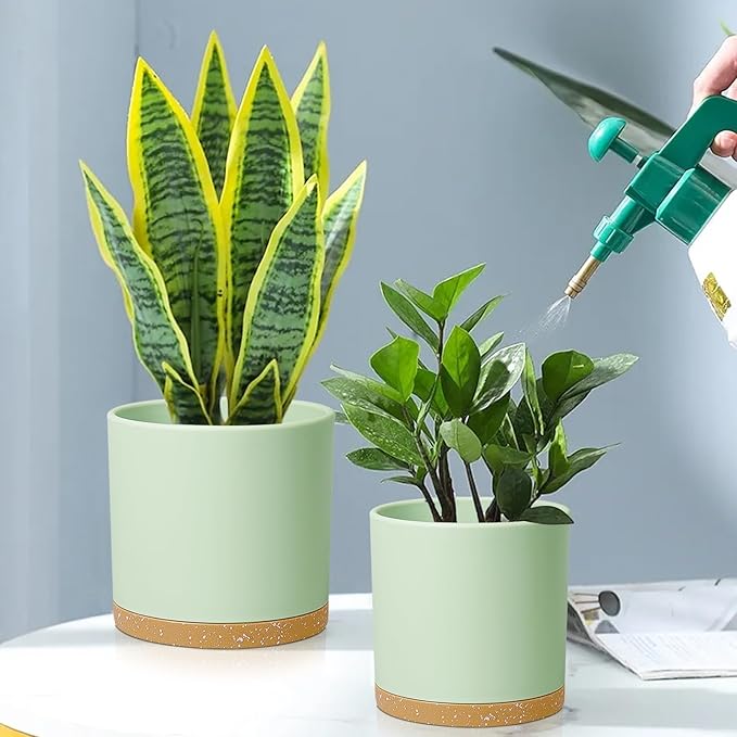 8/7/6 inch Plant Pots, 3 Pack Cylinder Flower Pots for Outdoor Indoor Plants, Decorative Plastic Planters with Drainage Holes and Saucers for Garden House Plants, Green with Brown