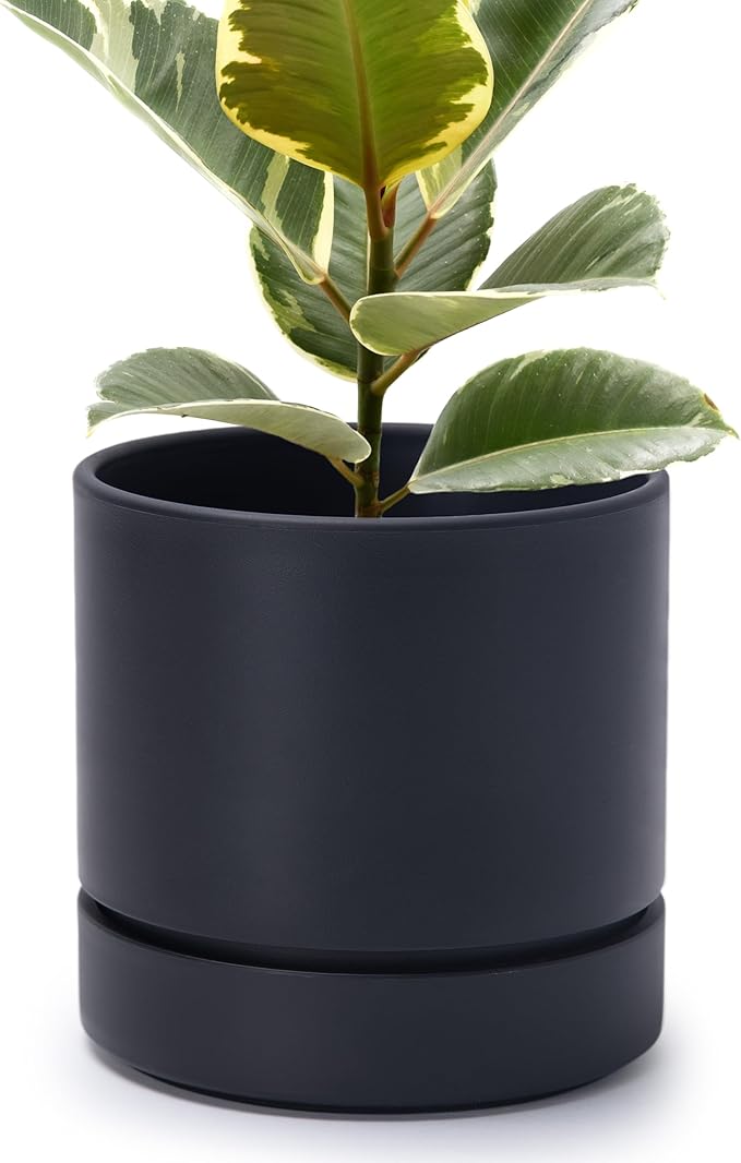 Phoenix Vine 8 Inch Planter Pot with Drainage Hole & Saucer, Deep Water Catch Tray, Straight Cylindrical Round Pot for Plants, Matte Black, Pack of 1, 23-C-T-1
