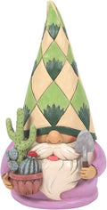 Enesco Jim Shore Heartwood Creek Succulent Gardener Gnome Figurine, 5.75 Inch, Multicolor