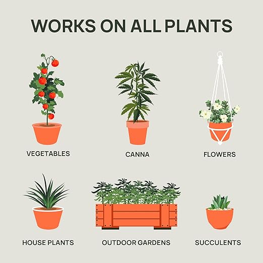 Strive Fertilizer Starter Kit Combo - Veg + Bloom General Hydroponic Nutrients - Indoor, Outdoor and Soil Growing Plant Food - Booster for Vegetables, Succulents, Flowers (Trial Combo 300 Grams)