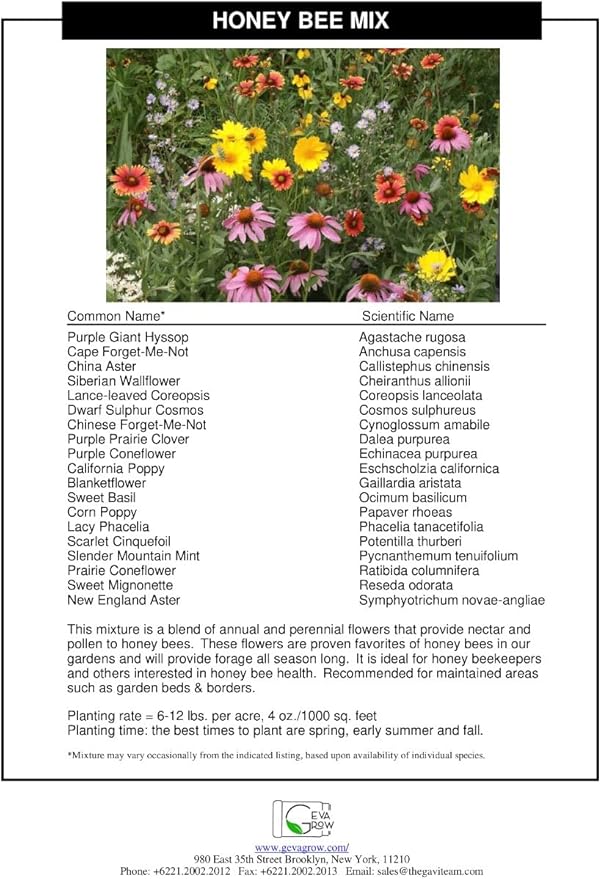 Bulk Wildflower Seed Mix – Honey Bee Wildflower Seed Mix 1 Pound Tub by GevaGrow | Bulk 300,000+ Seed Tub | 19 Variety Flower Seeds for Planting in Pots & Outdoor Gardens | No Messy Bags or Packets |