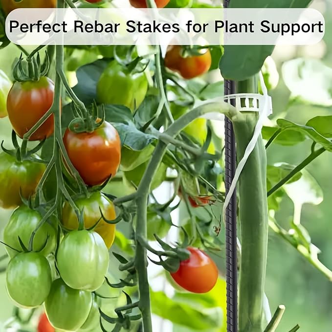 16 Inch Rebar Stakes 16 Pack Heavy Duty 3/8 Inch Diameter Ground Anchors, Landscpe Timber Spikes with Chisel Point End, Straight Metal Stakes for Concrete Forming, Garden Plant, Camping Tent, Black