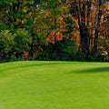 Creeping BentGrass Seeds, 5 Pounds