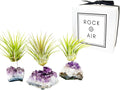 Set of 3 Mini Amethyst Crystal Air Plant Holders – Hand-Altered Natural Geode Clusters with Live Tillandsia, Ready-to-Gift Décor for Women, Birthdays, Christmas & Housewarming