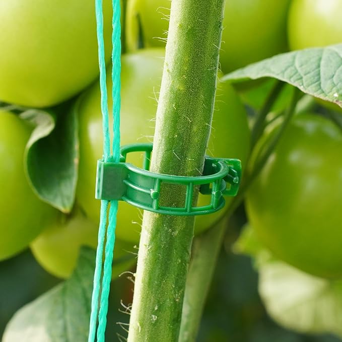 300 Pcs Plant Support Clips,Plastic Clips for Securing Plants,Tomato Vine Clips,Plant Fixing Clips,Garden Clips for Climbing Plants,Grape and Vine Vegetables (300, Green)