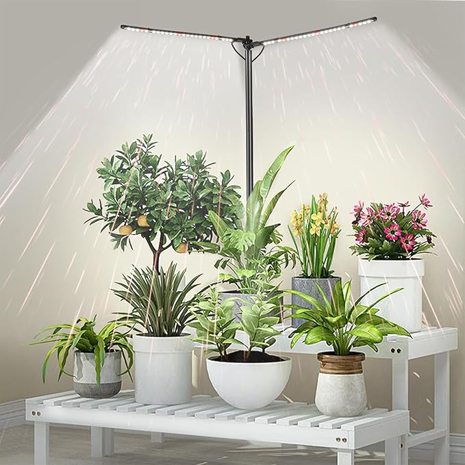 bodkar Plant Grow Lights for Indoor Plants Full Spectrum with 3/6/9H Timer & Dimming, Slim Plant Lights for Indoor Growing with 6000K White Red LEDs for Various Plants