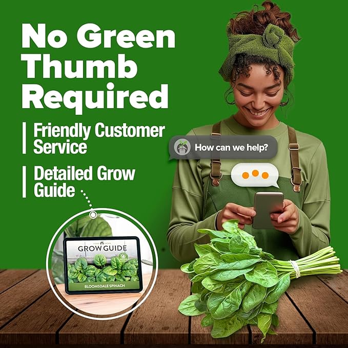 HOME GROWN Bloomsdale Spinach Seeds - 2 Bulk Packs (Spinacia oleracea) – 704 High Germination Heirloom Spinach Seeds for Planting – Leafy Green Lettuce – for Home Gardens