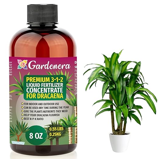 Premium Liquid Dracaena Fertilizer - 3-1-2 Concentrate for Indoor Plants and Flowers - Organic Plant Food - 8oz