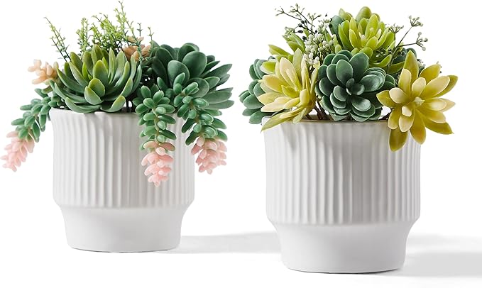 Artificial Succulent Plants, Faux Assorted Succulents Fake Plants in White Ceramic Pots for Home Decor, Bedroom, Office, Desk, Living Room, Set of 2