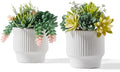 Artificial Succulent Plants, Faux Assorted Succulents Fake Plants in White Ceramic Pots for Home Decor, Bedroom, Office, Desk, Living Room, Set of 2