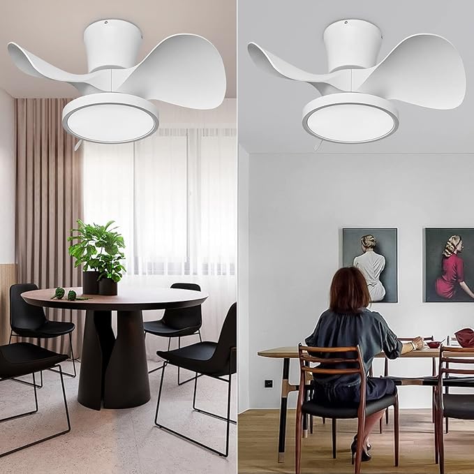 ocioc Quiet Ceiling Fan with LED Light 22 inch Large Air Volume Remote Control for Kitchen Bedroom Dining Room Patio