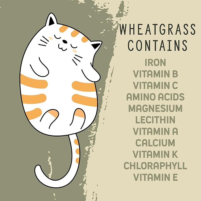 Whetagrass Kits (Wheatgrass Grow Kit - Custom Box)