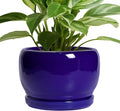 SQOWL 8 Inch Plant Pot - Ceramic Planter for Indoor Plants Outdoor, Ceramic Flower Pot with Drainage Hole and Saucer, Modern Round Planter, Bathroom Decor, Gifts for Plant Lovers, Blue