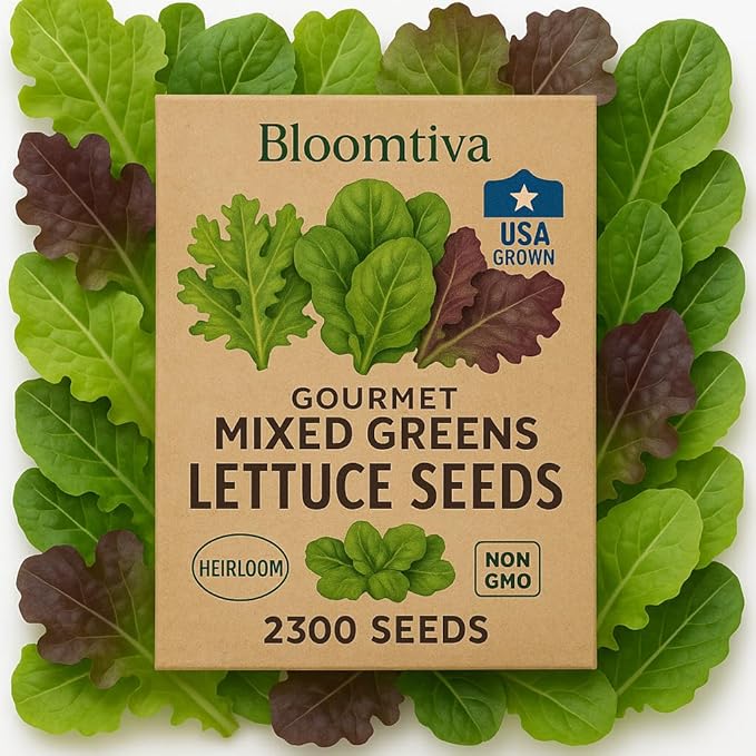 Lettuce Seeds – Gourmet Mixed Greens Blend for Planting | 2300 Bulk Non-GMO USA Heirloom Seeds – Crisp, Fresh & Fast-Growing Garden Variety (Lactuca Sativa)