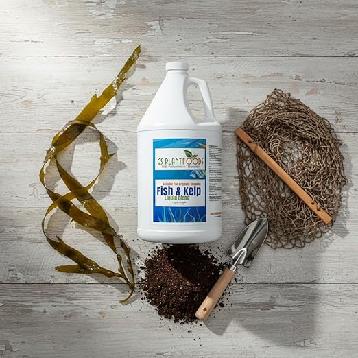 GS Plant Foods Liquid Fish & Kelp Fertilizer (1 Gallon) – Organic Material Review Institute Listed Natural Plant Food for Home Gardens, Lawns, and Vegetables